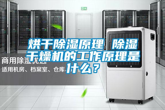 烘干除濕原理 除濕干燥機的工作原理是什么？
