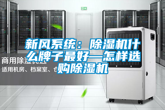 新風系統(tǒng):除濕機什么牌子最好—怎樣選購除濕機