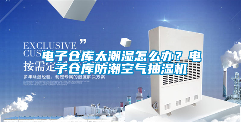 電子倉(cāng)庫(kù)太潮濕怎么辦?電子倉(cāng)庫(kù)防潮空氣抽濕機(jī)