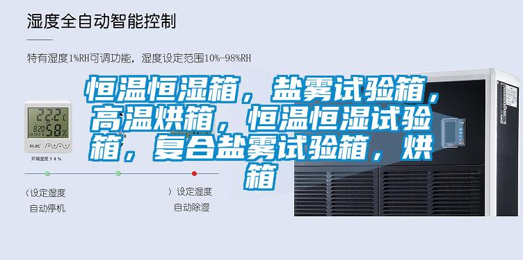 恒溫恒濕箱，鹽霧試驗箱，高溫烘箱，恒溫恒濕試驗箱，復合鹽霧試驗箱，烘箱