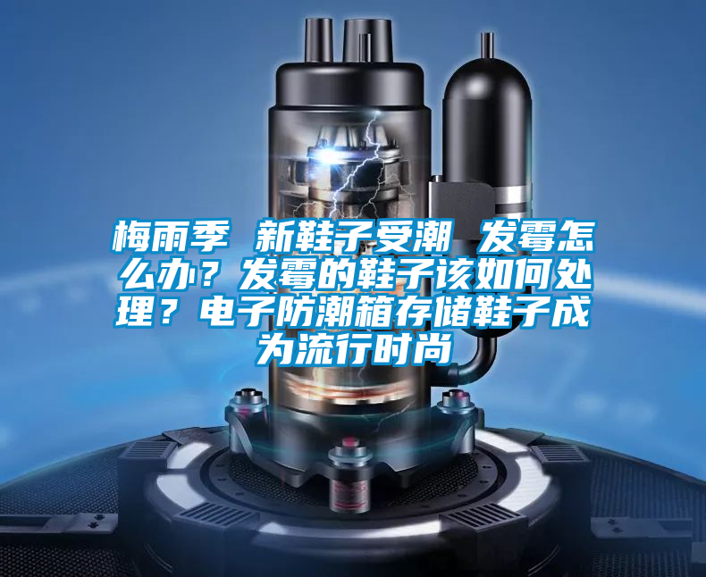 梅雨季 新鞋子受潮 發(fā)霉怎么辦?發(fā)霉的鞋子該如何處理?電子防潮箱存儲鞋子成為流行時尚