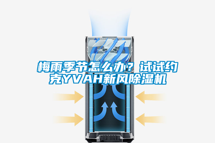 梅雨季節(jié)怎么辦?試試約克YVAH新風除濕機