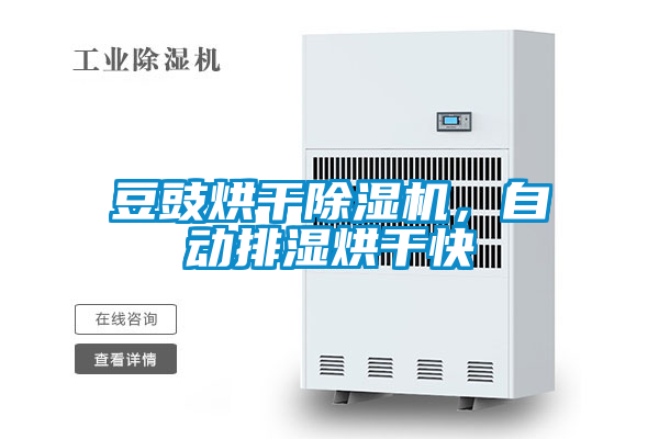 豆豉烘干除濕機，自動排濕烘干快