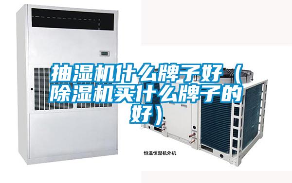 抽濕機(jī)什么牌子好(除濕機(jī)買(mǎi)什么牌子的好)