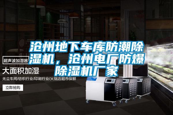 滄州地下車庫防潮除濕機(jī)，滄州電廠防爆除濕機(jī)廠家