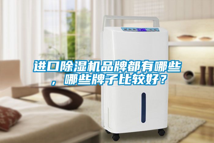 進口除濕機品牌都有哪些,哪些牌子比較好?