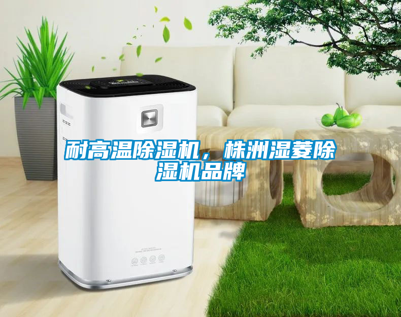 耐高溫除濕機，株洲濕菱除濕機品牌