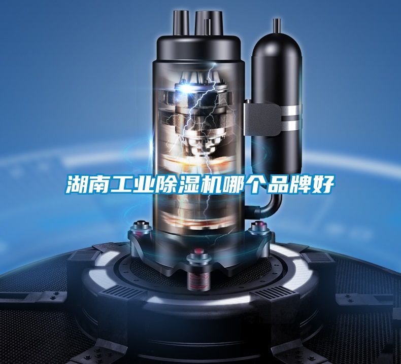 湖南工業(yè)除濕機(jī)哪個品牌好