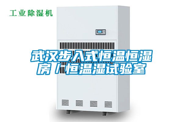武漢步入式恒溫恒濕房/恒溫濕試驗室