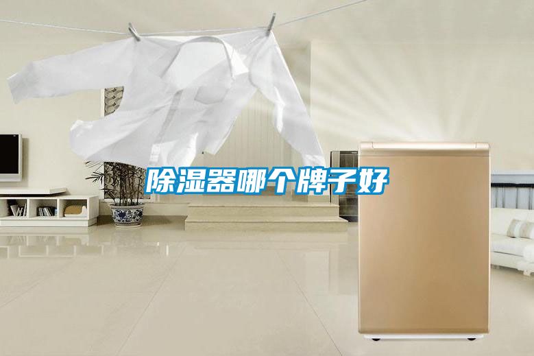 除濕器哪個牌子好