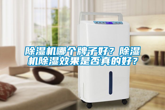 除濕機哪個牌子好？除濕機除濕效果是否真的好？