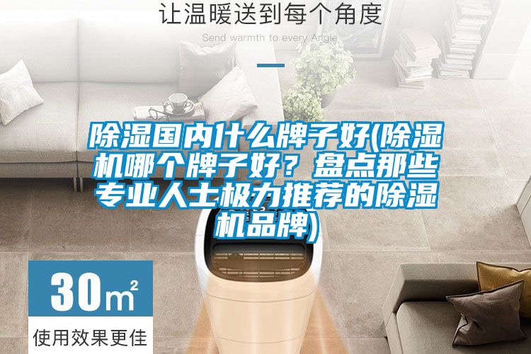 除濕國內什么牌子好(除濕機哪個牌子好？盤點那些專業人士極力推薦的除濕機品牌)