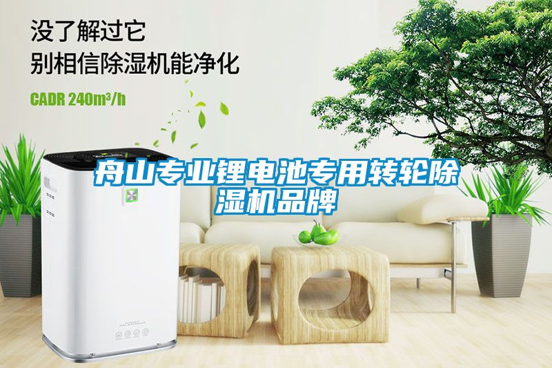 舟山專業(yè)鋰電池專用轉(zhuǎn)輪除濕機品牌