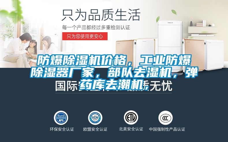 防爆除濕機價格,工業(yè)防爆除濕器廠家,部隊去濕機,彈藥庫去潮機,