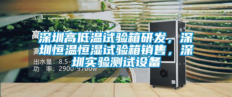 深圳高低溫試驗(yàn)箱研發(fā),深圳恒溫恒濕試驗(yàn)箱銷(xiāo)售,深圳實(shí)驗(yàn)測(cè)試設(shè)備