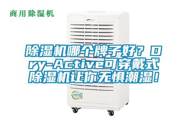 除濕機哪個牌子好？Dry-Active可穿戴式除濕機讓你無懼潮濕！