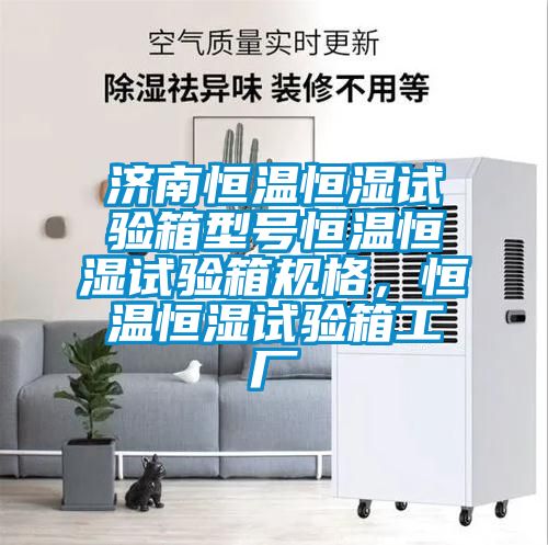 濟(jì)南恒溫恒濕試驗(yàn)箱型號(hào)恒溫恒濕試驗(yàn)箱規(guī)格,恒溫恒濕試驗(yàn)箱工廠