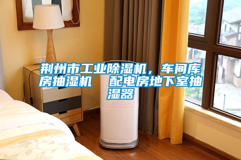 荊州市工業(yè)除濕機(jī),車間庫(kù)房抽濕機(jī) 配電房地下室抽濕器