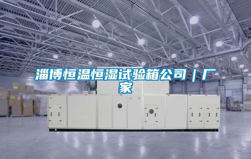 淄博恒溫恒濕試驗(yàn)箱公司|廠家