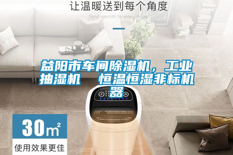 益陽市車間除濕機，工業抽濕機  恒溫恒濕非標機器