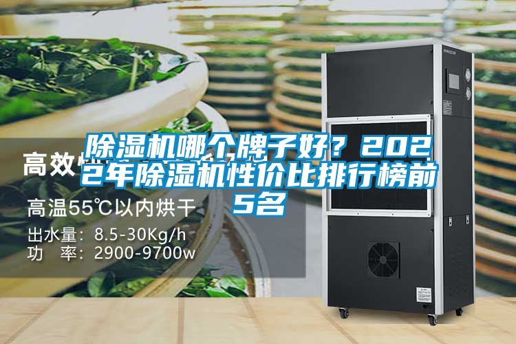除濕機哪個牌子好？2022年除濕機性價比排行榜前5名