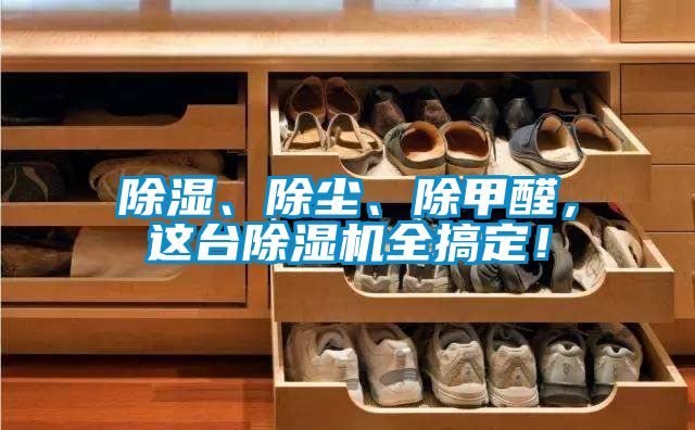 除濕、除塵、除甲醛，這臺(tái)除濕機(jī)全搞定！