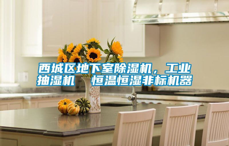 西城區(qū)地下室除濕機(jī),工業(yè)抽濕機(jī) 恒溫恒濕非標(biāo)機(jī)器