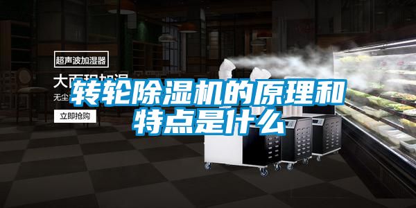 轉(zhuǎn)輪除濕機的原理和特點是什么