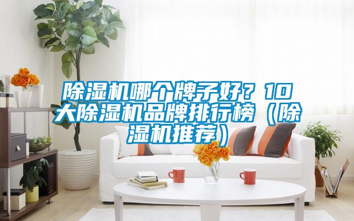 除濕機哪個牌子好？10大除濕機品牌排行榜（除濕機推薦）