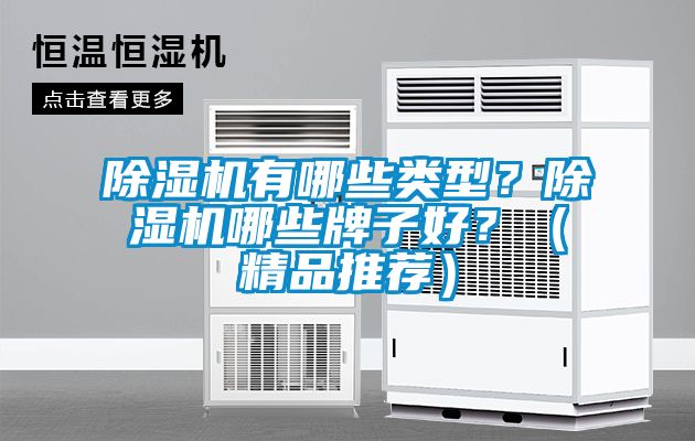 除濕機有哪些類型？除濕機哪些牌子好？（精品推薦）