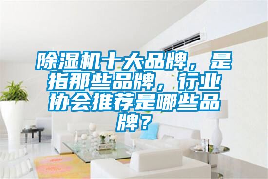 除濕機(jī)十大品牌,是指那些品牌,行業(yè)協(xié)會(huì)推薦是哪些品牌?