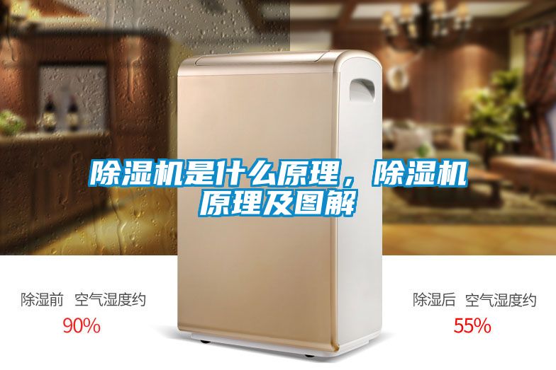 除濕機是什么原理，除濕機原理及圖解