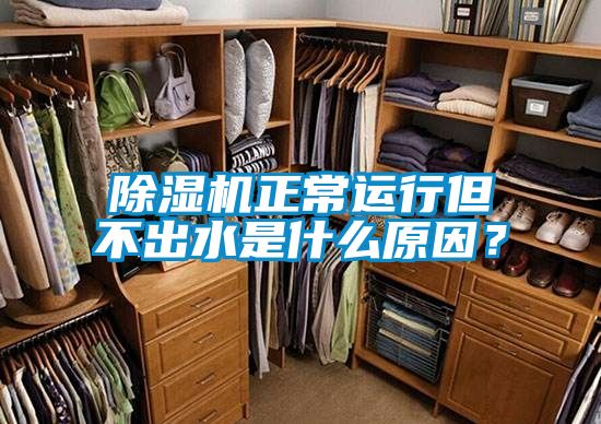 除濕機正常運行但不出水是什么原因？