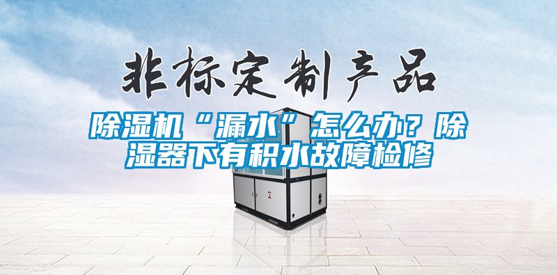 除濕機“漏水”怎么辦？除濕器下有積水故障檢修
