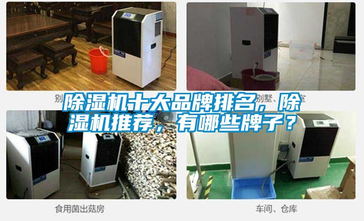 除濕機(jī)十大品牌排名，除濕機(jī)推薦，有哪些牌子？