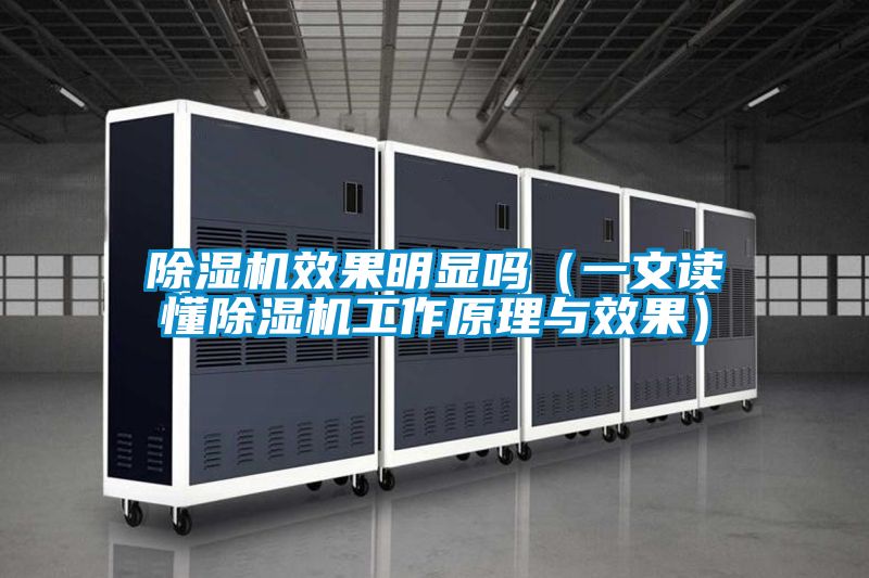 除濕機效果明顯嗎(一文讀懂除濕機工作原理與效果)