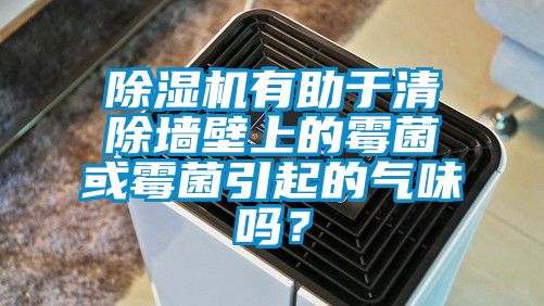 除濕機有助于清除墻壁上的霉菌或霉菌引起的氣味嗎?