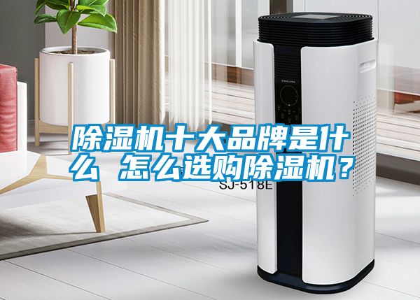 除濕機十大品牌是什么 怎么選購除濕機？