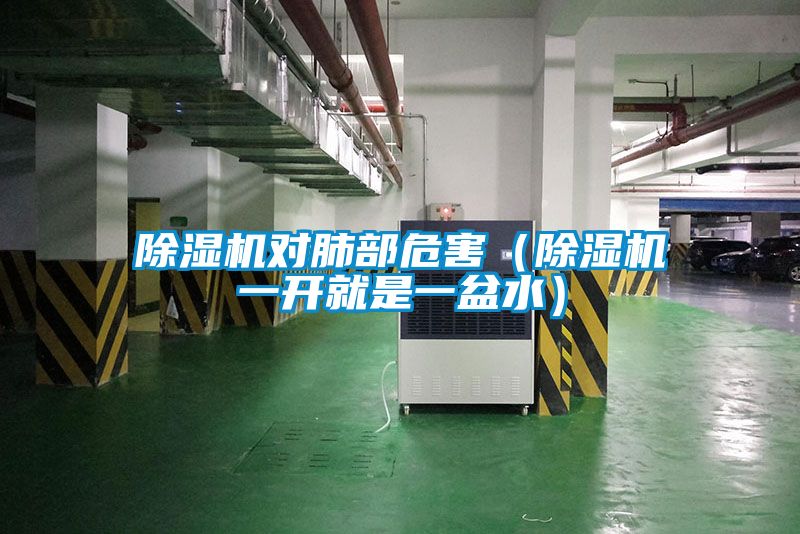 除濕機對肺部危害(除濕機一開就是一盆水)