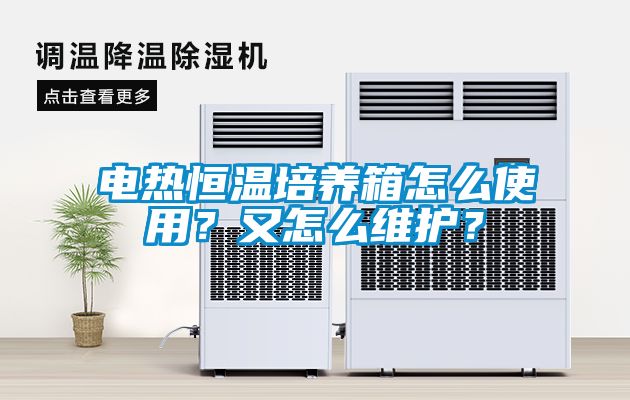 電熱恒溫培養箱怎么使用?又怎么維護?