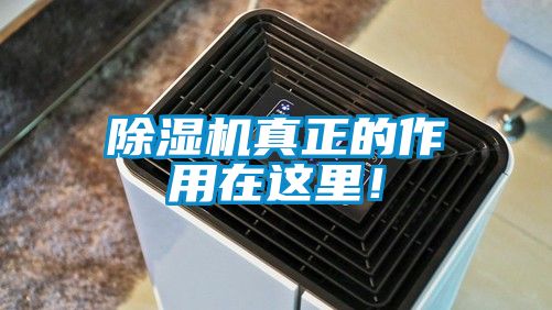 除濕機(jī)真正的作用在這里!