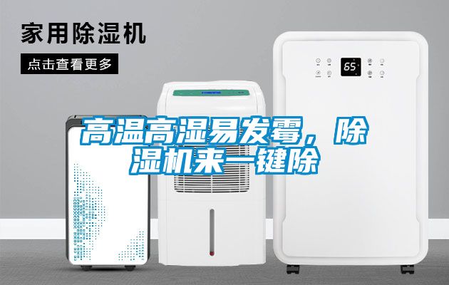 高溫高濕易發霉，除濕機來一鍵除