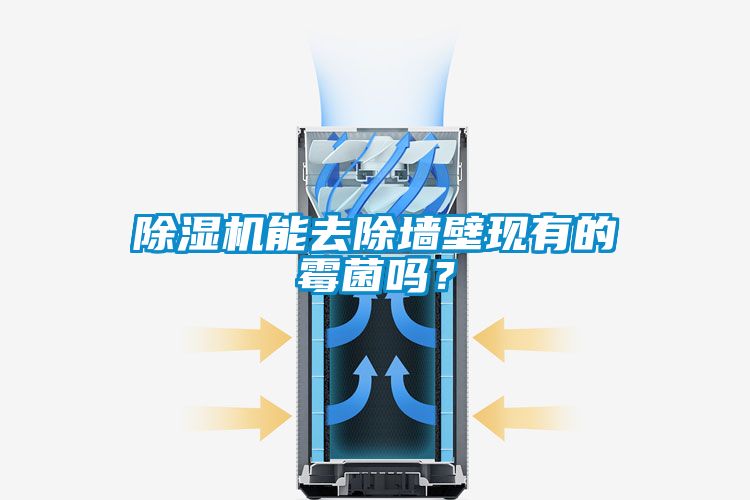 除濕機能去除墻壁現有的霉菌嗎?