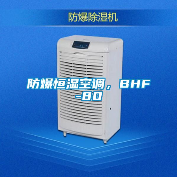 防爆恒濕空調(diào),BHF-80