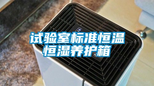 試驗室標(biāo)準(zhǔn)恒溫恒濕養(yǎng)護箱