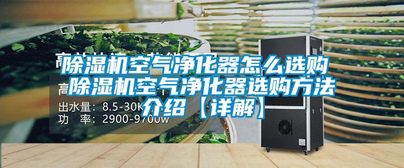 除濕機(jī)空氣凈化器怎么選購 除濕機(jī)空氣凈化器選購方法介紹【詳解】