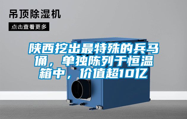 陜西挖出最特殊的兵馬俑，單獨(dú)陳列于恒溫箱中，價值超10億