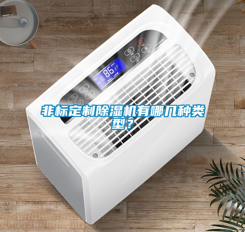 非標(biāo)定制除濕機有哪幾種類型？