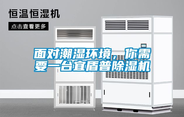 面對潮濕環(huán)境，你需要一臺宜盾普除濕機