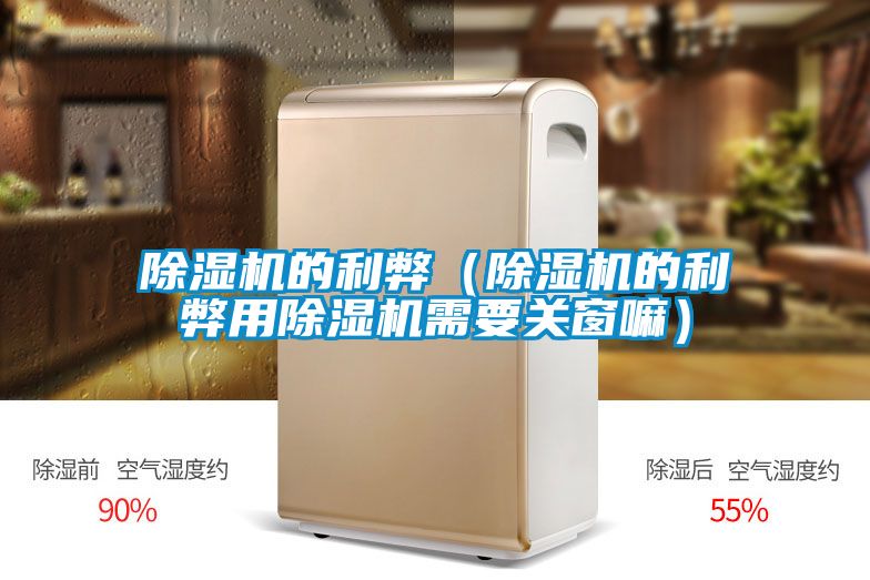 除濕機的利弊(除濕機的利弊用除濕機需要關(guān)窗嘛)